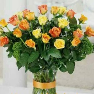 Meet your Posher, Edith